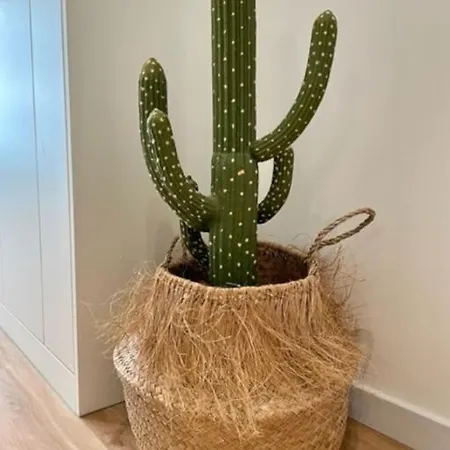 Διαμέρισμα Pierside B, Cosy En Zeezicht Dichtbij Brugge Blankenberge