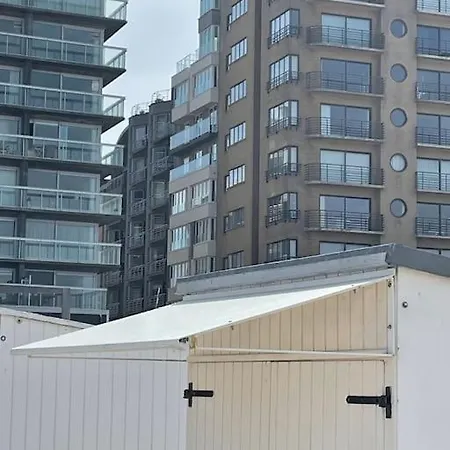 Pierside B, Cosy En Zeezicht Dichtbij Brugge Blankenberge